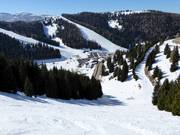 Schwere Piste Variante Rainer