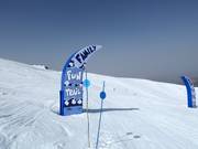 Tipp für die Kleinen  - Family Fun Trail