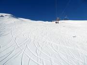 Freeriden ist fast überall möglich