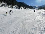 Leichte Schneeflucht-Piste