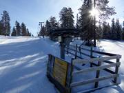 T2 Transportliften östra - Tellerlift