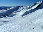 Viel freier Skiraum oberhalb der Baumgrenze