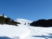 Höhenloipe "La Muntagnarda"