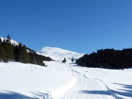 Langlauf Sesvennagruppe – Langlauf Minschuns – Val Müstair-Tschierv