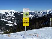 Hinweisschild zum Schutz des Waldes