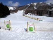 Übungsgelände mit Förderband der Skischule am West Mountain