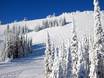 Skigebiete für Könner und Freeriding Thompson Okanagan – Könner, Freerider Sun Peaks