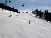 McCulloch auf der Südseite