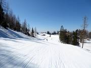 Piste Vrh Krvavca-Gradišče