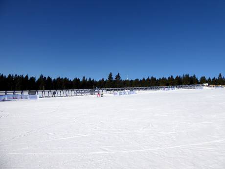 Skigebiete für Anfänger im Riesengebirge (Krkonoše/Karkonosze) – Anfänger Černá hora – Janské Lázně