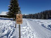 Tipp für die Kleinen  - Rodelbahnen