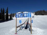 Discovery Carpet - Förderband/Zauberteppich