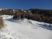 Leichte Piste Campo Scuola Scoiattolo