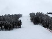 Schwere Abfahrt Wolverine