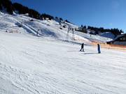 Anfängergelände mit Seillift in Grasgehren