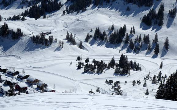 Langlauf Schwyzer Alpen – Langlauf Stoos – Fronalpstock/Klingenstock