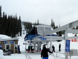 Black Forest Express