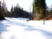 Familien und Kinder lieben die leichten Pisten