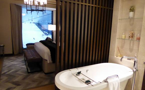 Vereinigte Arabische Emirate: Unterkunftsangebot der Skigebiete – Unterkunftsangebot Ski Dubai – Mall of the Emirates