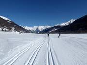 Herrliche Loipen im Goms