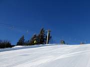 Osthanglift - Schlepplift mit T-Bügel/Anker