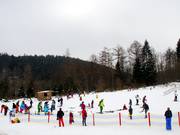 Übungsbereich neben der Rodelbahn