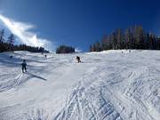Burgstallalmabfahrt auf der Planai