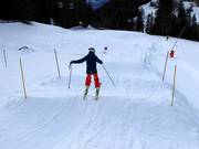 Wellenbahn in Ochsengarten