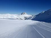 Striche im Schnee mit Panorama auf den Rettenstein