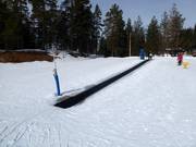 Blåmesen - Förderband/Zauberteppich