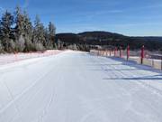 Sehr gute Pistenpräparierung am Arber