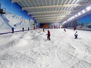 Die Hauptpiste in der Skihalle The Snow Centre