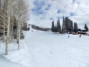 Anfängerbereich am Shoshone Lift