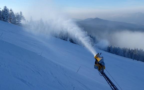 Schneesicherheit Zwieseler Winkel – Schneesicherheit Arber