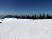 Übungslift am Brandstadl in Scheffau