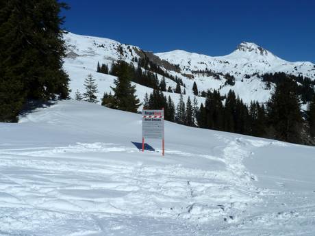 Bregenz: Umweltfreundlichkeit der Skigebiete – Umweltfreundlichkeit Damüls Mellau