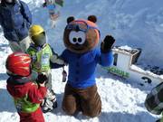 Maskottchen Noah, der kleine Braunbär