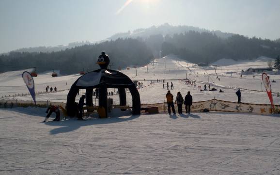 Familienskigebiete Loferer und Leoganger Steinberge – Familien und Kinder Buchensteinwand (Pillersee) – St. Ulrich am Pillersee/St. Jakob in Haus/Hochfilzen