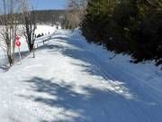 Am Kapellenlift führt die Loipe am Skiweg entlang