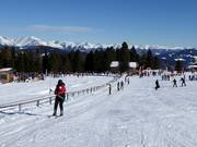 Baby - Seillift/Babylift mit niederer Seilführung