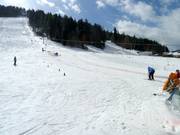 Übungslift mit Piste im Talbereich