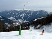 Schneilanzen sind an den Abfahrten fast immer präsent