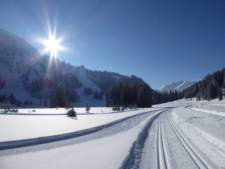 Langlauf Tiroler Zugspitz Arena – Langlauf Berwang/Bichlbach/Rinnen