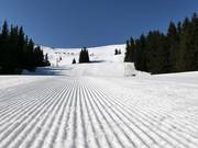 Frisch präparierte Pisten in Vitosha