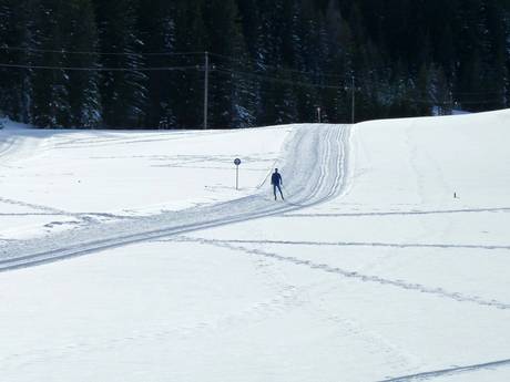 Langlauf Berchtesgadener Alpen – Langlauf Hochkönig – Maria Alm/Dienten/Mühlbach