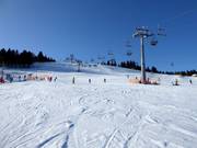 Piste Nr. 21 G1 Prawa