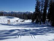 Höhenloipe Roßbrand