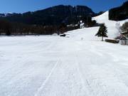 Piste am Übungslift Rasmusleiten
