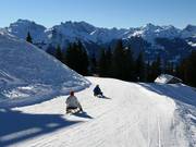 Rodelbahn Hochjoch