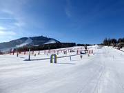 ArBär-Kinderland mit Blick zum Arber